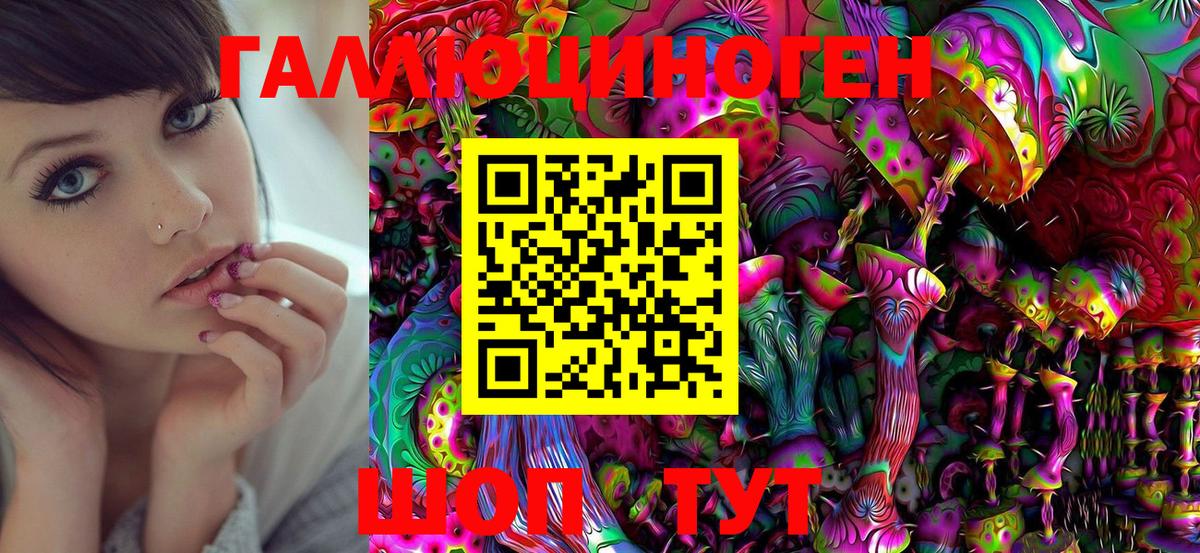 наркошоп  Псилоцибиновые грибы Psilocybe  Электросталь  Вход с VPN  Псилоцибиновые грибы Cubensis 